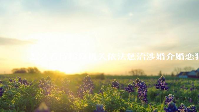怎么看待检察机关依法惩治涉婚介婚恋犯罪促进净化和规范市场环境？