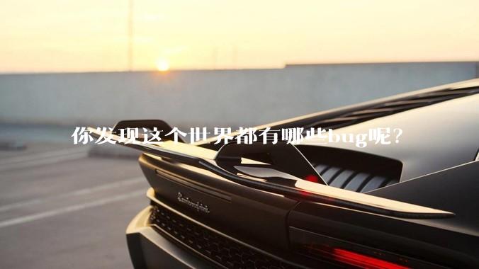 你发现这个世界都有哪些bug呢？