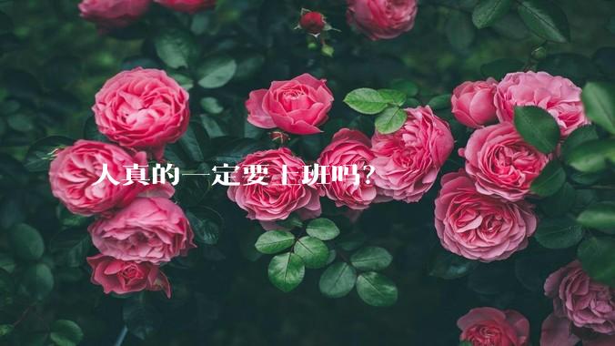 人真的一定要上班吗？