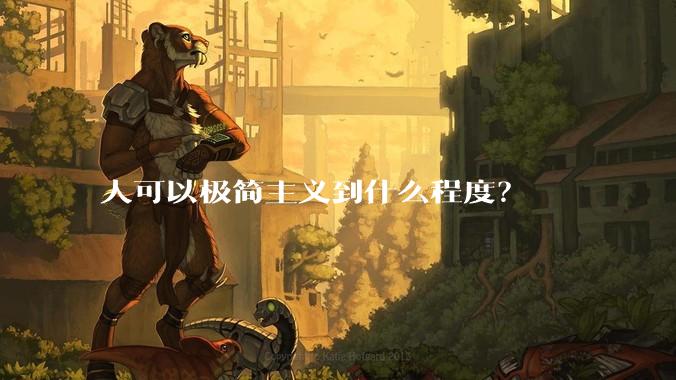 人可以极简主义到什么程度？