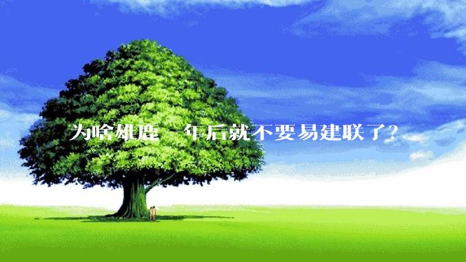 为啥雄鹿一年后就不要易建联了？