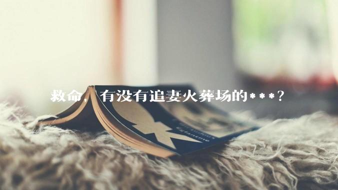 救命，有没有追妻火葬场的***？