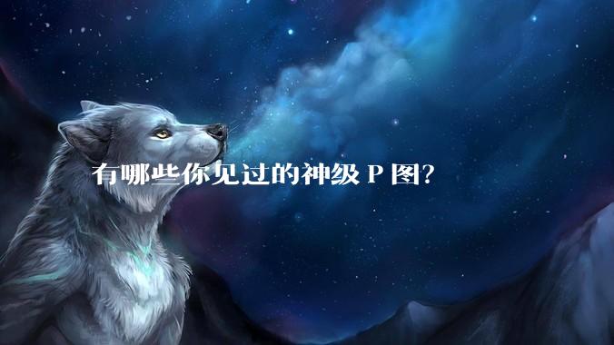 有哪些你见过的神级Ｐ图？