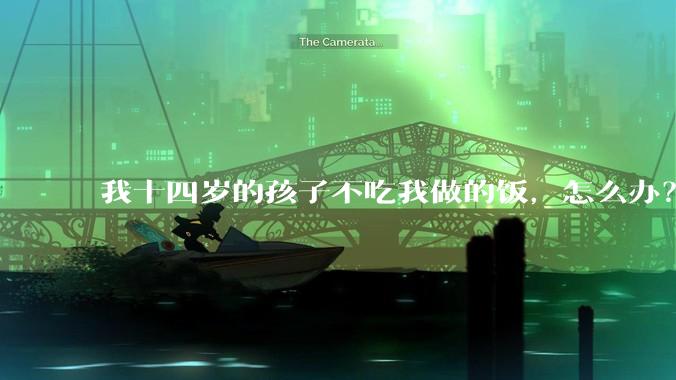 我十四岁的孩子不吃我做的饭，怎么办？