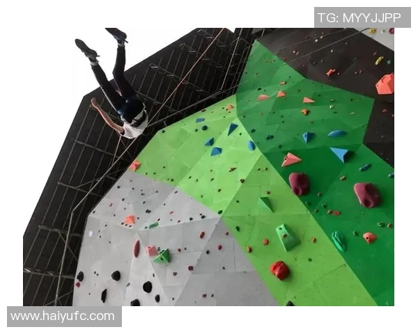 武汉攀岩队在世界滑板锦标赛中的心理素质表现分析与点评